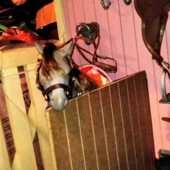 2 MY GENERATION FEMALE FOALS - Picture 2 of 5